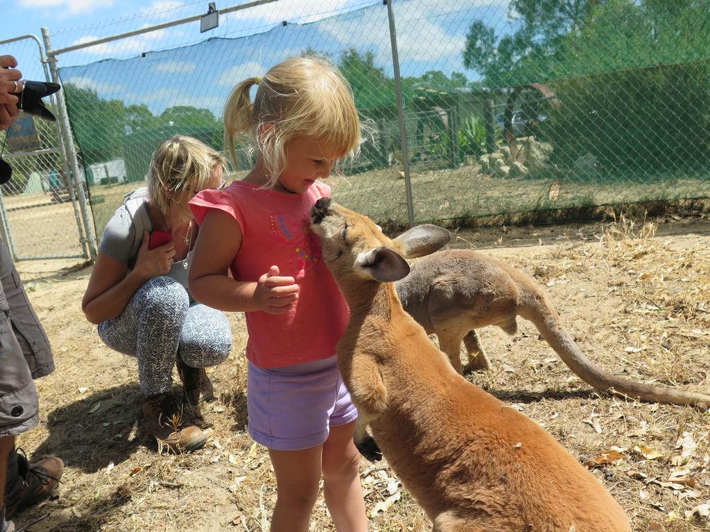 Jurien Beachfront Holiday Units Villa Jurien Bay Værelse billede